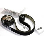 Gates Triger Seti - T5-volkswagen Caddy-volkswagen Passat-volkswagen Polo-amf-bjb-axb-avf-bdj-axc-bkc 1.4-1.9 Audi TDI 04-09 - Kod GTSK055569XS - OEM 038198119A