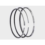 Goetze Segman - 89.90 MM 1.5x1.75x3 - Kod GTZ08.119000.00 - OEM A1120300124