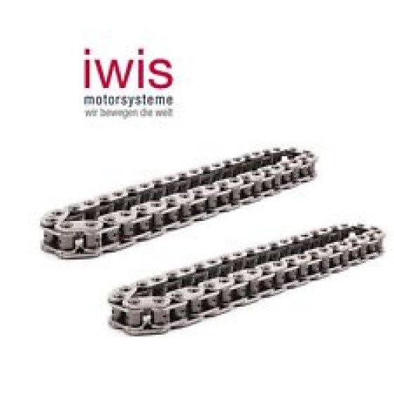IWIS Eksantrik Parçası - Zinciri 54 Bakla M62 - Kod IWS50034390 - OEM 11311747437 ürün görseli