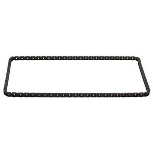 IWIS Eksantrik Parçası - Zinciri 138 Bakla Tek Sira N12 - Kod IWS50038676 - OEM 11317533876