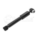 MEYLE Arka Amortisör - 168 - Kod MEY0267250000 - OEM A1683200231