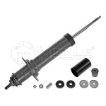 MEYLE Arka Amortisör - 163 - Kod MEY0267250023 - OEM A1633202313