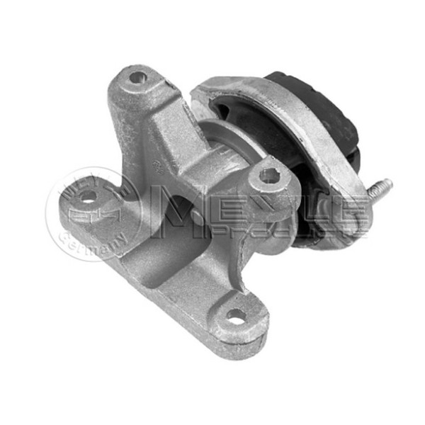 MEYLE Şanzuman Kulaği Blb A4 2.0TDİ - Kod MEY1001300006 - OEM 8E0399105JD