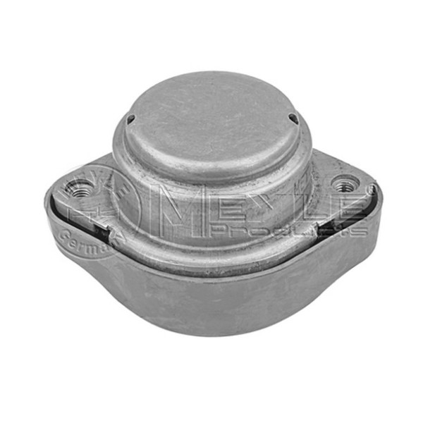 MEYLE Şanzuman Kulaği Volkswagen Passat 4 - Kod MEY1001300011 - OEM 4B0399151M