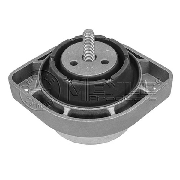 MEYLE Motor Kulaği Sol E83 M54 - Kod MEY3002211132 - OEM 22113421295