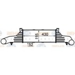 Nissens Interkol Radyatörü 202 - Kod NSN96859 - OEM A2025001100