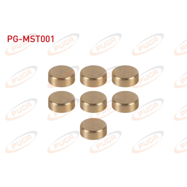 PUGA Motor SU Blok Tapasi Takim Sari Pirinc Fiat Linea / Fiat Doblo / Fiat Egea / Fiat Palio / Fiat Albea 1.3 Mtj - Kod PG-MST001 - OEM 12855195