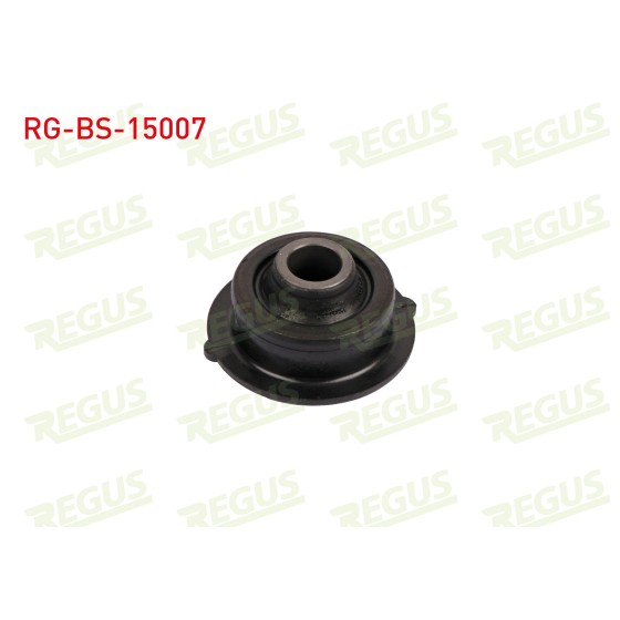 REGUS Salıncak - Burcu ON Sol-sag Alt Citroen C3 (FC) 1.1i 2002-2009 - Kod RG-BS-15007 - OEM 3523.98 ürün görseli