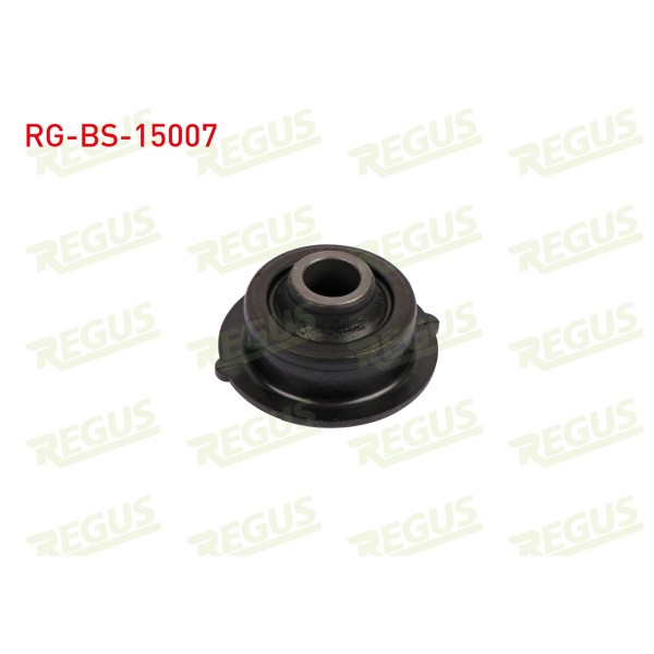 REGUS Salıncak - Burcu ON Sol-sag Alt Citroen C3 (FC) 1.1i 2002-2009 - Kod RG-BS-15007 - OEM 3523.98