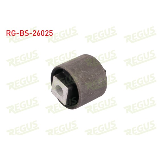 REGUS Denge Kol Burcu Arka Sol-sag Land Rover Freelander (LN) 1.8 16V 1998-2007 - Kod RG-BS-26025 - OEM RGD000090S ürün görseli