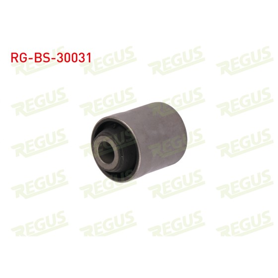 REGUS Salıncak - Denge Kolu Burcu Ust Arka Mitsubishi Lancer Vii Sportback (Cxa) 2003-2013 - Kod RG-BS-30031 - OEM 4113A011 ürün görseli