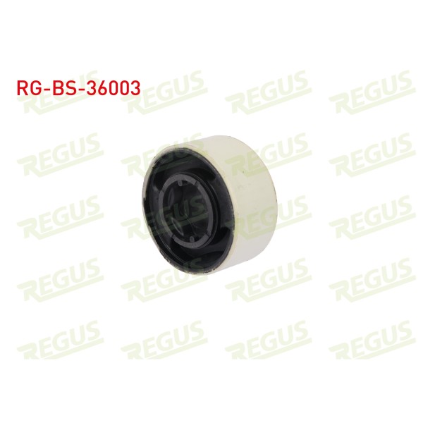 REGUS Salıncak - Burcu ON Sol-sag Alt Rover 75 (RJ) 1.8 1999-2005 - Kod RG-BS-36003 - OEM RGD100571