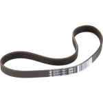 Sarj Kayişi Kanalli V Kayiş Lex Gold - Kod RM-5028 - OEM 6PK1050
