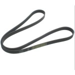 Sarj Kayişi Kanalli V Kayiş Lex Gold - Kod RM-5038 - OEM 6PK1590