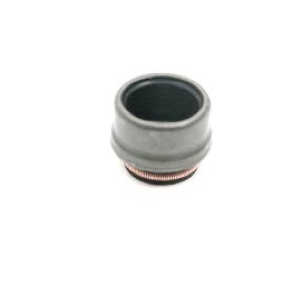 İthal Subap - Lastigi Universal 84- 6 Mm 6 Mm / 403.730 - Kod SKT-4S-025-V - OEM 036109675A ürün görseli
