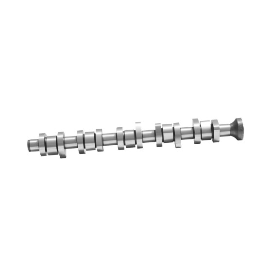 ZEGEN Eksantrik Parçası - Mili Çelik T5-volkswagen Touareg Axd-axe-bac 2, 5 Audi TDI 04-10 - Kod ZCS1032 - OEM 070109101P ürün görseli