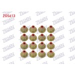 ZEGEN Subap - Lastigi Opel Astra H / Opel Astra G / Opel Astra J / Opel Insignia A 1.6 - Kod ZGS613 - OEM 24405819