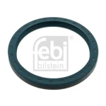 FEBI Aks Keçesi – 46793