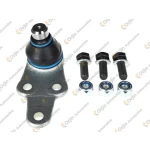 Orjin Alt Rotil – 00393