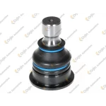 Orjin Alt Rotil – 02030