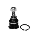 Votto Alt Rotil – 41-13103 / OEM 4016086M00
