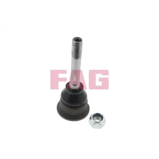 FAG Alt Rotil – 825004610 / OEM 31121139131 ürün görseli