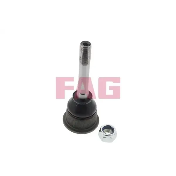 FAG Alt Rotil – 825004610 / OEM 31121139131