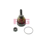FAG Alt Rotil – 825017910 / OEM SE141140104A