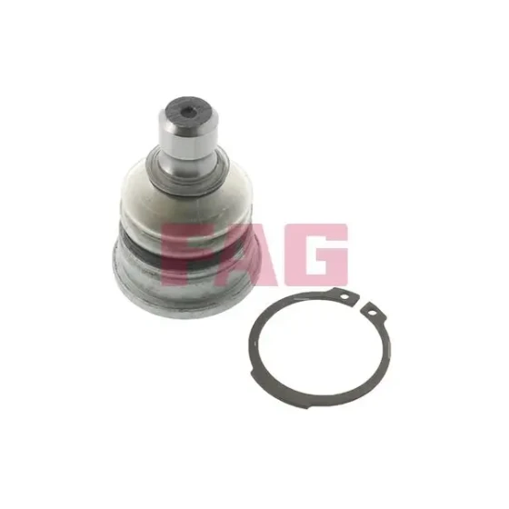 FAG Alt Rotil – 825033810 ürün görseli
