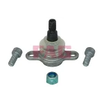FAG Alt Rotil – 825042910