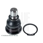 Blueprint Alt Rotil – ADN186115
