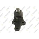 Teknorot Alt Rotil (Sağ) – FO-495 / OEM 8V613A423AAB