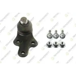 Teknorot Alt Rotil (Sağ) – FO-495K / OEM 8V613A423AAB