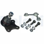 Delphi Alt Rotil (Sol) – TC1084