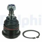 Delphi Alt Rotil – TC592