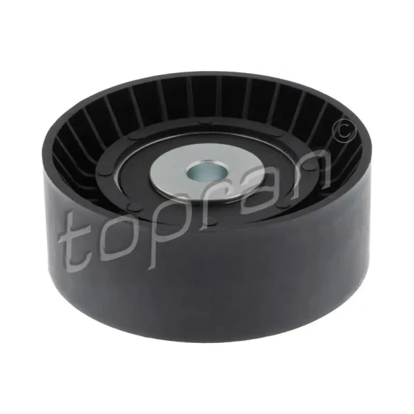 Topran Alternatör Gergi Rulmanı – 109158001 / OEM 059903341
