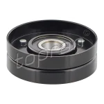 Topran Alternatör Gergi Rulmanı – 109168001 / OEM 059145276