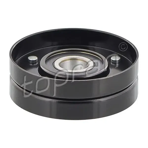 Topran Alternatör Gergi Rulmanı – 109168001 / OEM 059145276