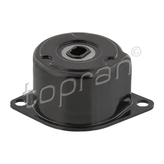 Topran Alternatör Gergi Rulmanı – 109800001 / OEM 044903315C ürün görseli
