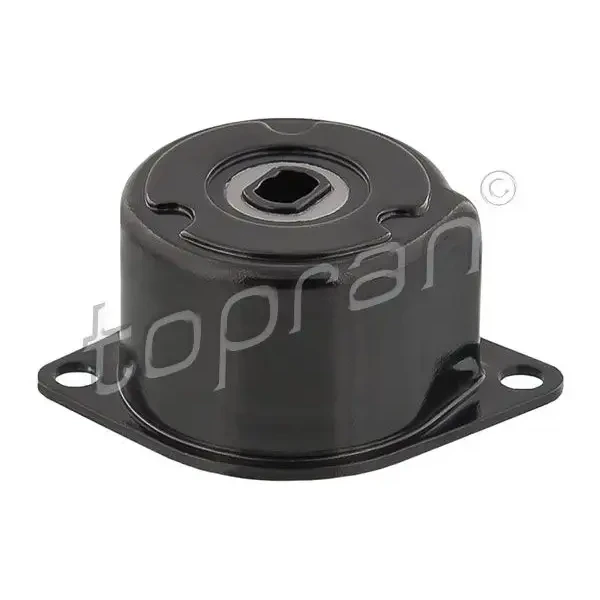 Topran Alternatör Gergi Rulmanı – 109800001 / OEM 044903315C
