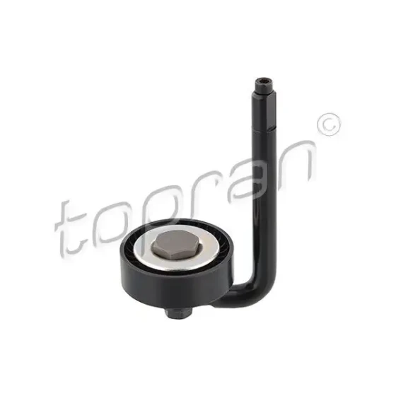 Topran Alternatör Gergi Rulmanı – 501846001 / OEM 64557786706 ürün görseli