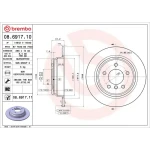 Brembo Arka Fren Diski – 08.6917.11