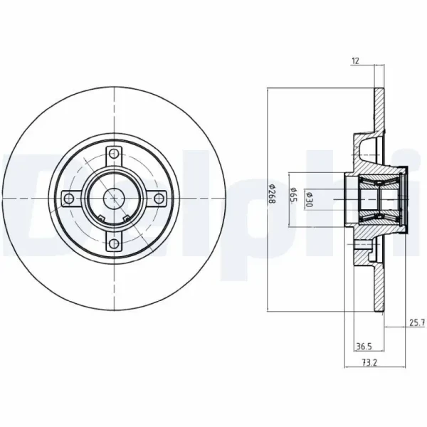Delphi Arka Fren Diski – BG9053RSC