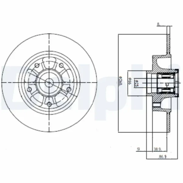 Delphi Arka Fren Diski – BG9112RS