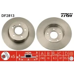 TRW Arka Fren Diski – DF2813