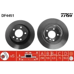 TRW Arka Fren Diski – DF4451