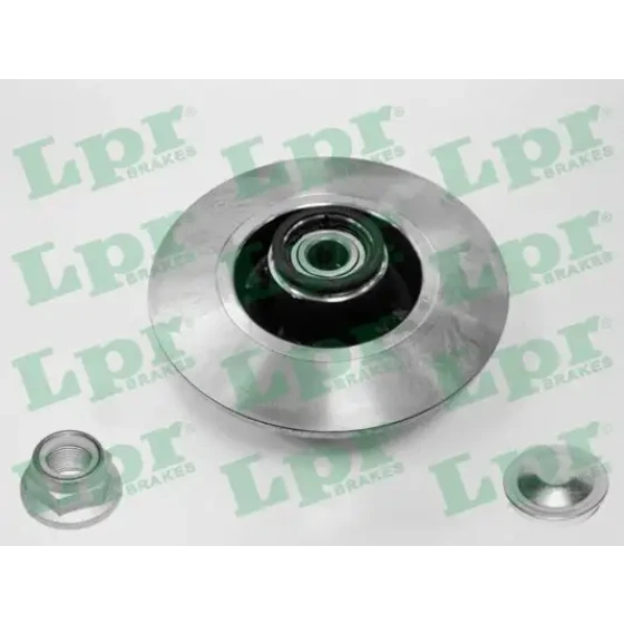 LPR Arka Fren Diski – R1005PCA / OEM 8660001811 ürün görseli