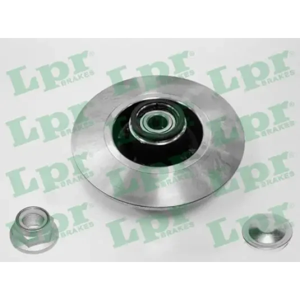 LPR Arka Fren Diski – R1005PCA / OEM 8660001811