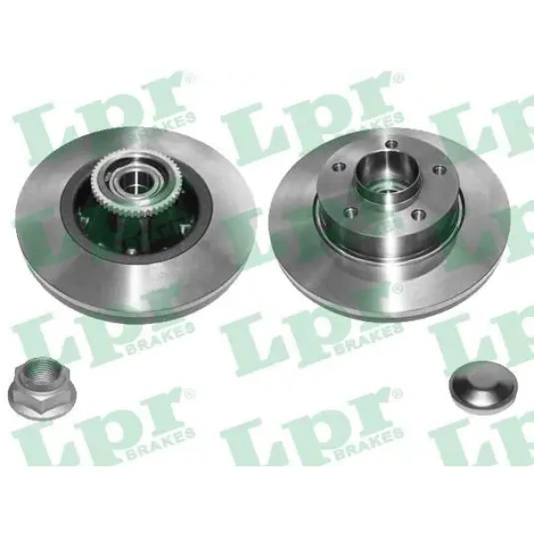 LPR Arka Fren Diski – R1020PCA