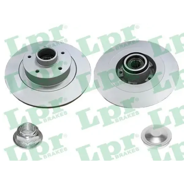 LPR Arka Fren Diski – R1079PRCA / OEM 432024962R